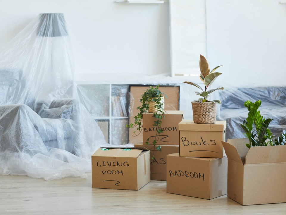 labelled moving boxes in apartment with furniture covered over