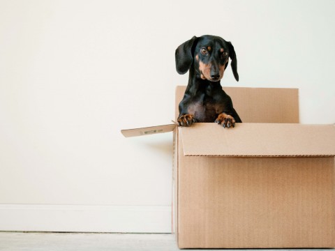5 Ways Downsizing House Could Drastically Improve Your Life